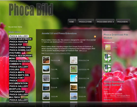 Phoca Bild
