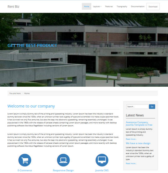 Лёгкий бесплатный шаблон ReniBiz