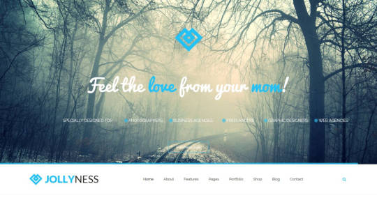 TZ Jollyness - многофункциональный шаблон Joomla