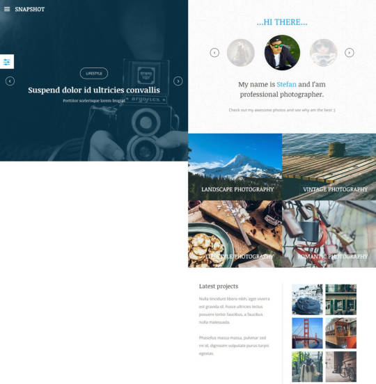 YJ Snapshot для портфолио фотографов и дизайнеров